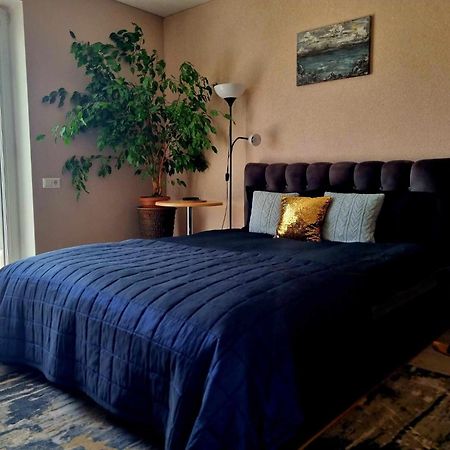 Garden Studio By The Lake With Air-Con And Infrasauna دروسكينينكاي المظهر الخارجي الصورة