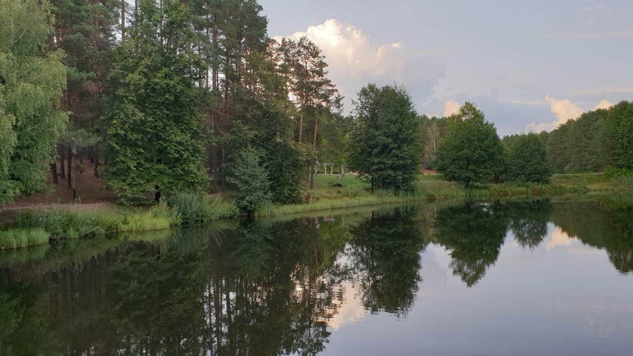 Garden Studio By The Lake With Air-Con And Infrasauna دروسكينينكاي المظهر الخارجي الصورة